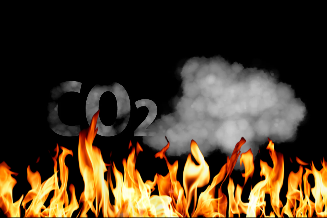CO2 Burning
